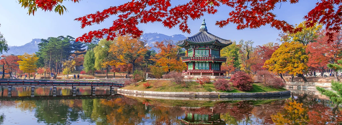 Study In South Korea